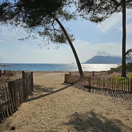 Petit Paradis Classe 3 Etoiles A 200M De La Plage! Terrasse-Wifi-Parking-Clim Saint-Mandrier-sur-Mer Buitenkant foto