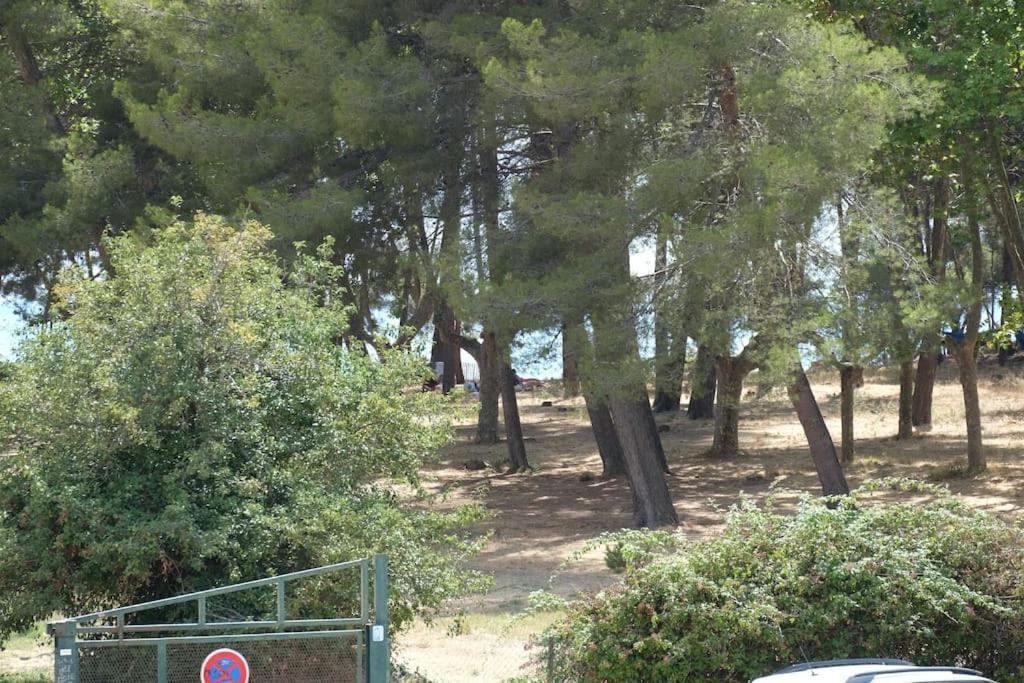 Petit Paradis Classe 3 Etoiles A 200M De La Plage! Terrasse-Wifi-Parking-Clim Saint-Mandrier-sur-Mer Buitenkant foto