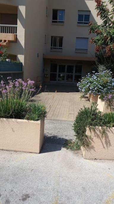 Petit Paradis Classe 3 Etoiles A 200M De La Plage! Terrasse-Wifi-Parking-Clim Saint-Mandrier-sur-Mer Buitenkant foto