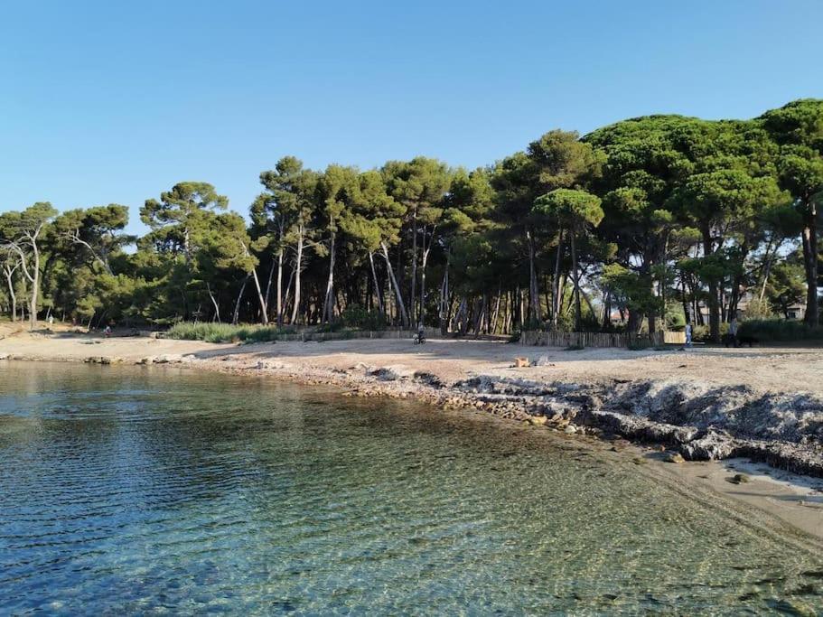 Petit Paradis Classe 3 Etoiles A 200M De La Plage! Terrasse-Wifi-Parking-Clim Saint-Mandrier-sur-Mer Buitenkant foto