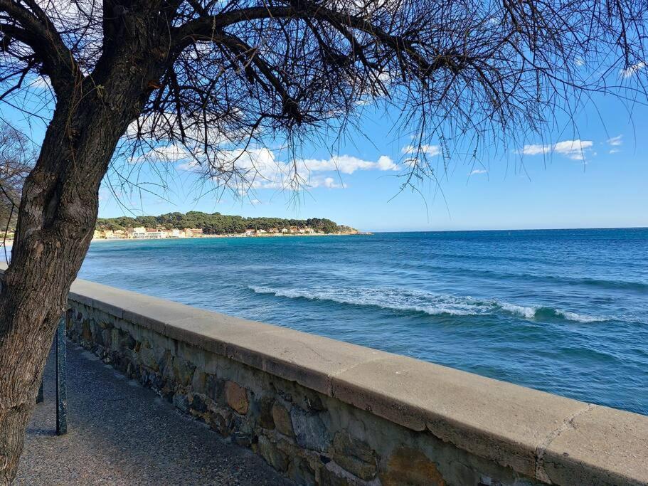Petit Paradis Classe 3 Etoiles A 200M De La Plage! Terrasse-Wifi-Parking-Clim Saint-Mandrier-sur-Mer Buitenkant foto
