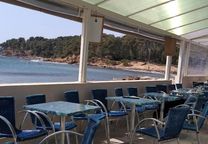 Petit Paradis Classe 3 Etoiles A 200M De La Plage! Terrasse-Wifi-Parking-Clim Saint-Mandrier-sur-Mer Buitenkant foto